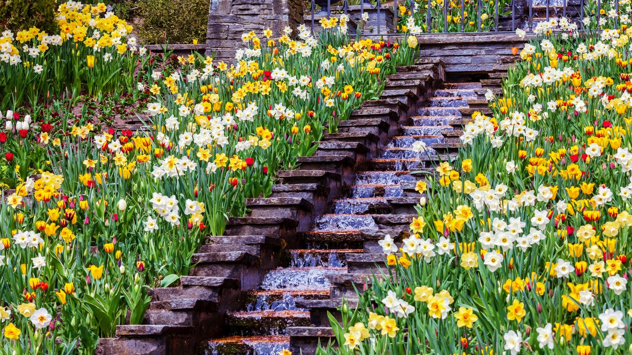 Blumengarten auf der Insel Mainau im Bodensee, Baden-Württemberg