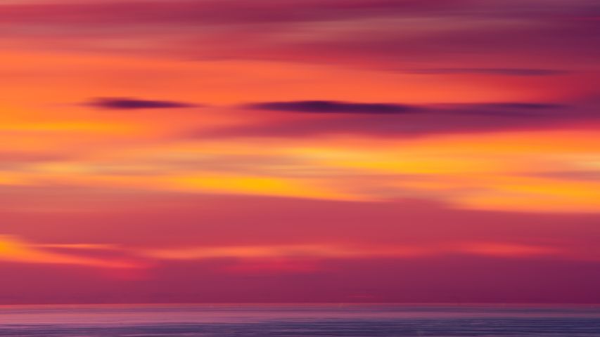 Painting or photo?