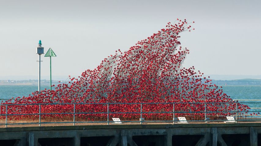 Poppies:Wave on Barge Pier, Shoeburyness, Southend-on-Sea, Essex