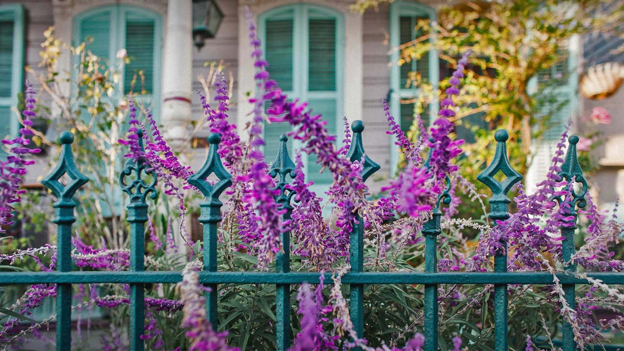 Flowers and ironwork fence in front of a house in New Orleans, Louisiana