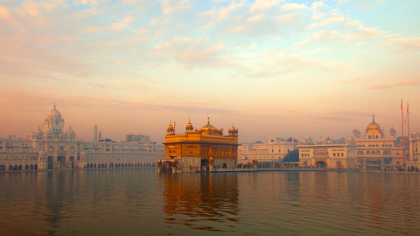 Morning view of the Golden Temple in Amritsar, India