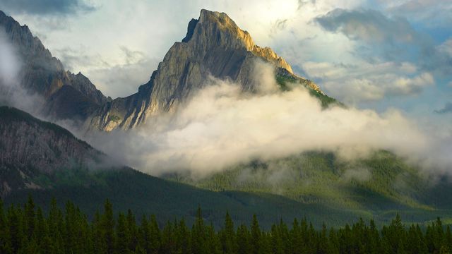 Opal Range surrounded by fog, Kananaskis Country, Alberta