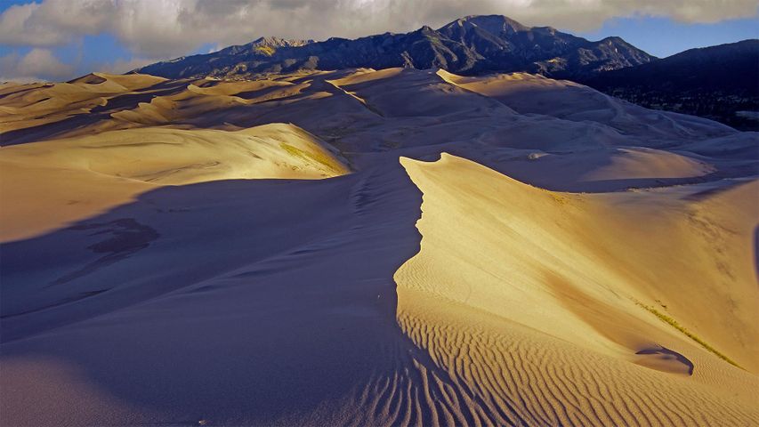 Sand dunes with Sangre de Cristo Mountains in the background, Great Sand Dunes National Park and Preserve, Colorado, USA