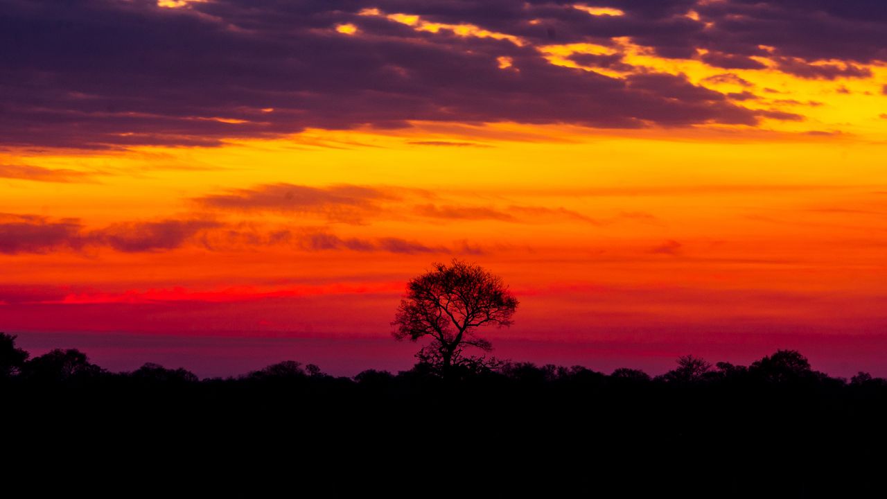 Um belo pôr do sol no Pantanal do Brasil