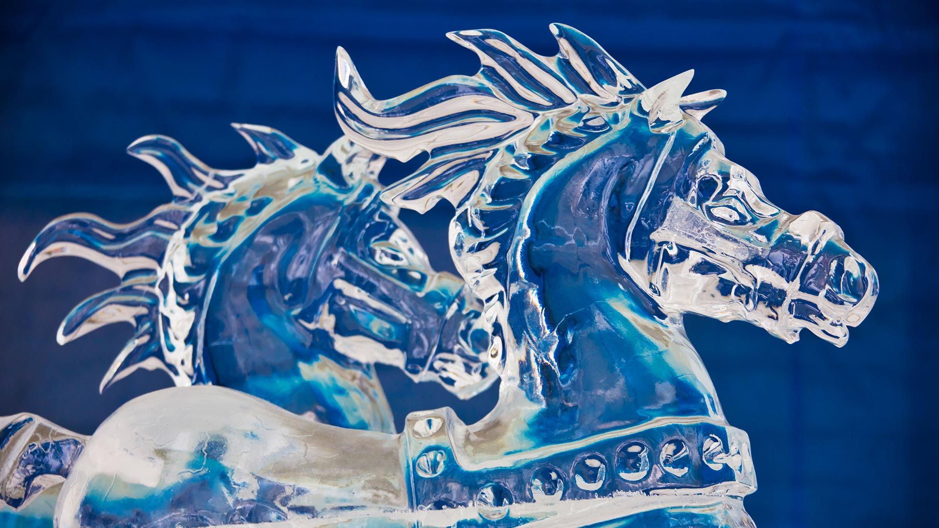 Ice sculptures during Winterlude Festival, Ottawa Peapix