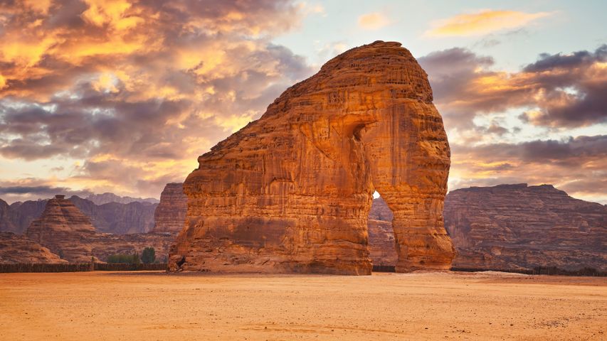 A petrified pachyderm?
