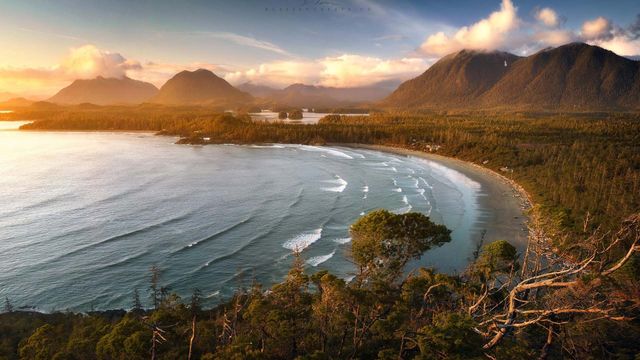 View of Tofino Bay, Vancouver, B.C.