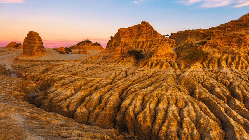 Arid and ancient