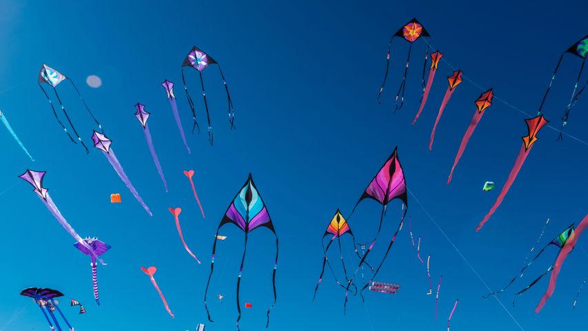 阿德莱德国际风筝节，澳大利亚