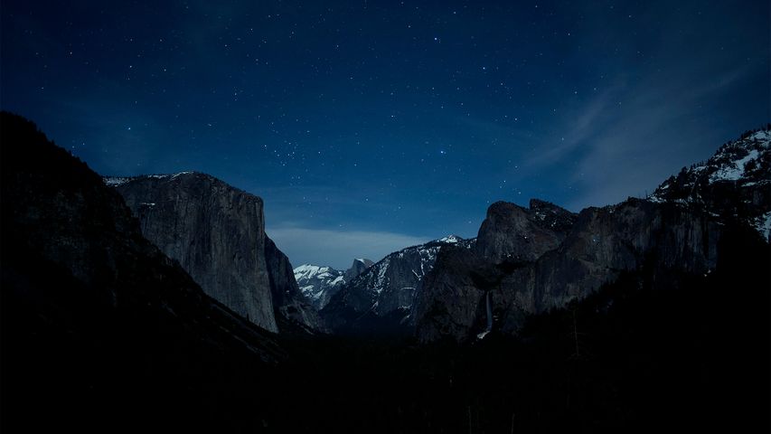 Nightfall Camo Special Edition Themes for Windows 10