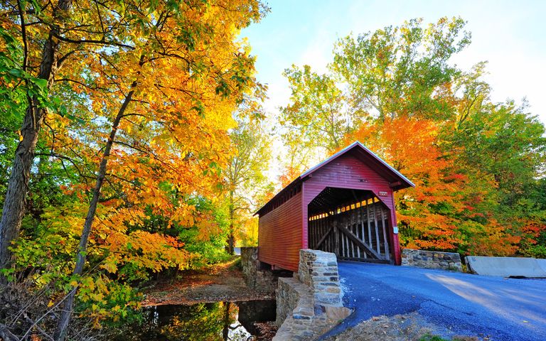 Bridges in Autumn Windows 10 Theme