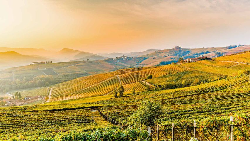 Die Hügel des Weinbaugebiets Barolo im Piemont, Italien