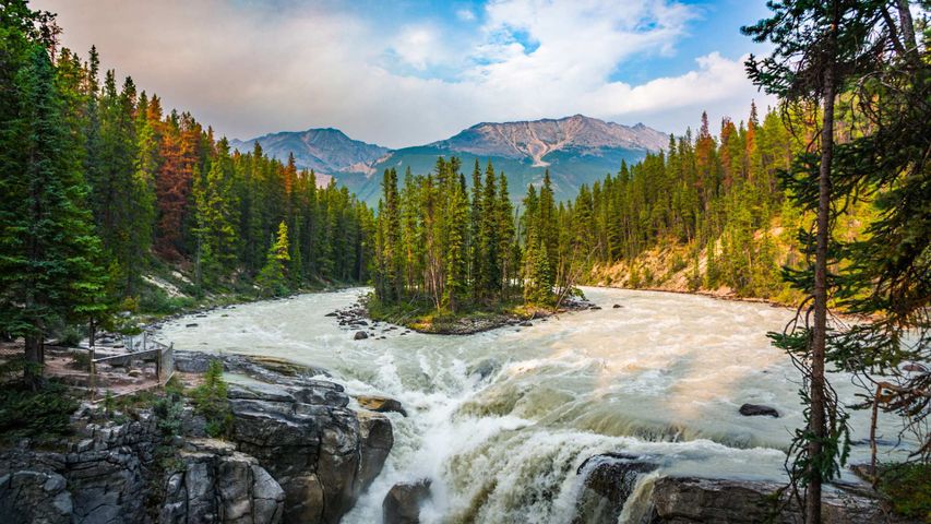 Sunwapta Falls im Jasper-Nationalpark, Kanada