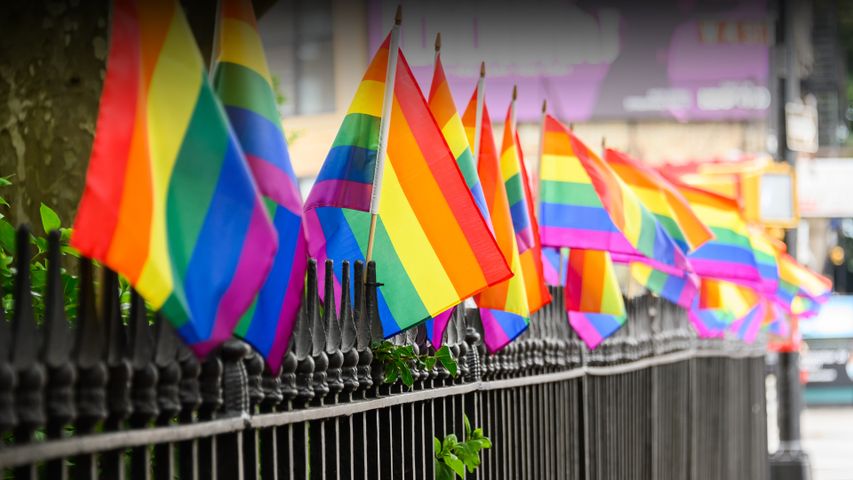 Bandiere dell'orgoglio al Christopher Street Park, Stonewall National Monument, New York City, USA