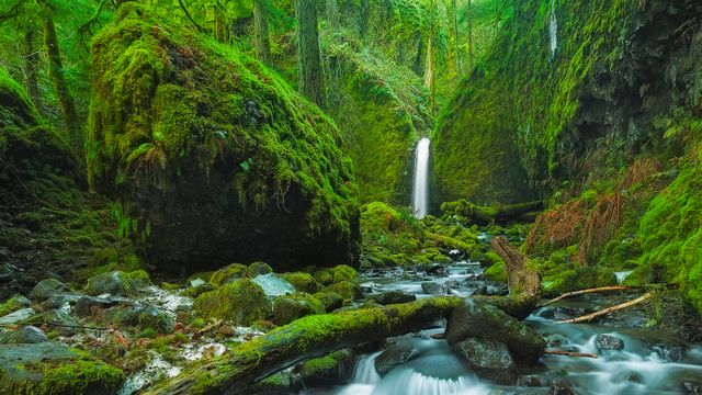 Garganta del río Columbia, Oregón, EE.UU.