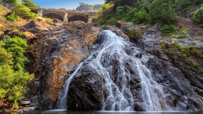 杜德萨加尔瀑布，印度果阿