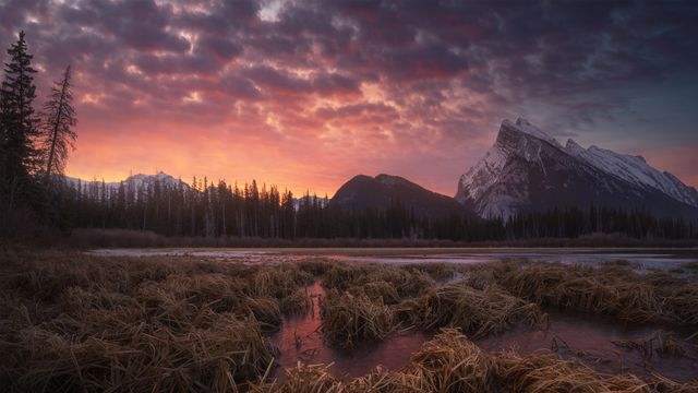 Vermilion Lakes, Banff, Canada