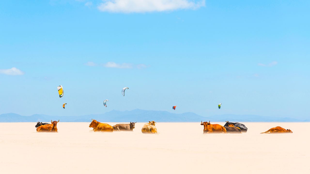 Retintas y cometas de kitesurf en las playas de Tarifa