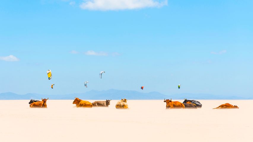 Retintas y cometas de kitesurf en las playas de Tarifa