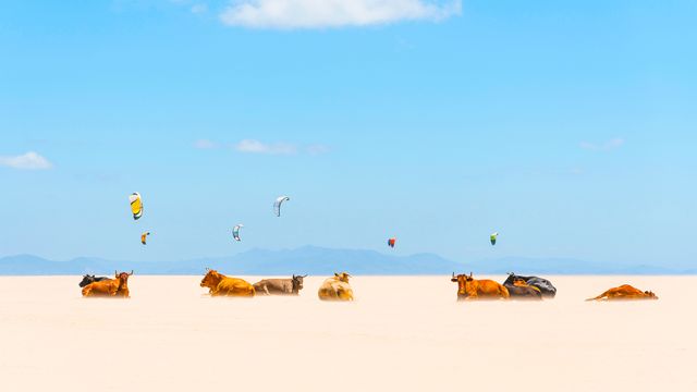 Retintas y cometas de kitesurf en las playas de Tarifa