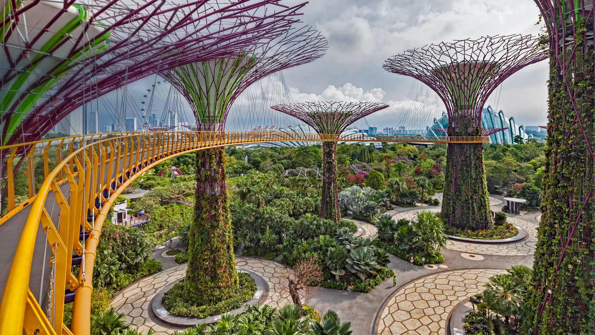 Supertree Grove  Singapour  dans les Jardins  de la Baie 