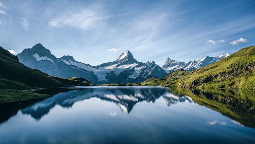 Alpine bliss