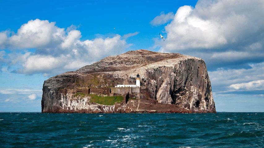 L’île Bass Rock, en Écosse, dans l’estuaire du Firth of Forth
