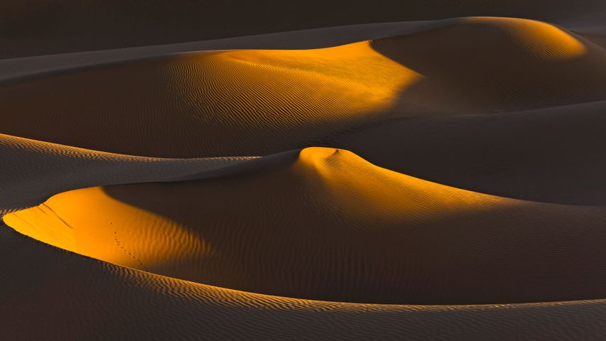 Últimos rayos de sol sobre un grupo de dunas, Sáhara, Argelia