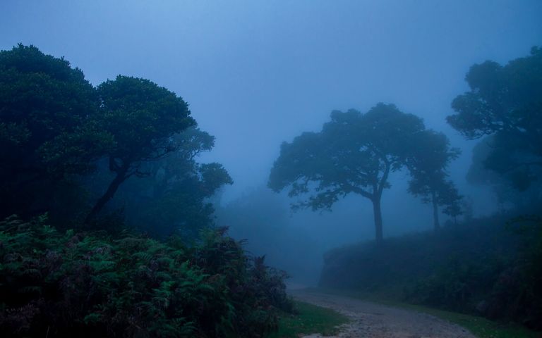 Monsoons Windows 10 Theme