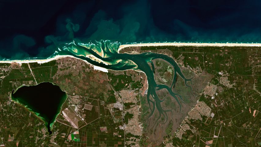 A dominant dune