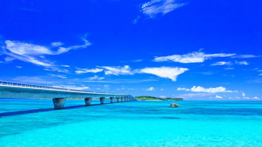 Bridge to paradise