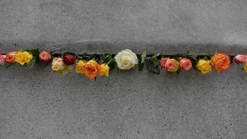 Rosen in einem Mauerspalt zum Gedenken an den Jahrestag des Falls der Berliner Mauer, Berlin