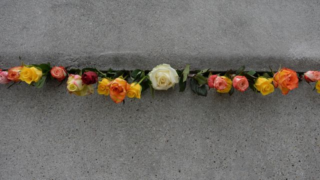 Rosen in einem Mauerspalt zum Gedenken an den Jahrestag des Falls der Berliner Mauer, Berlin