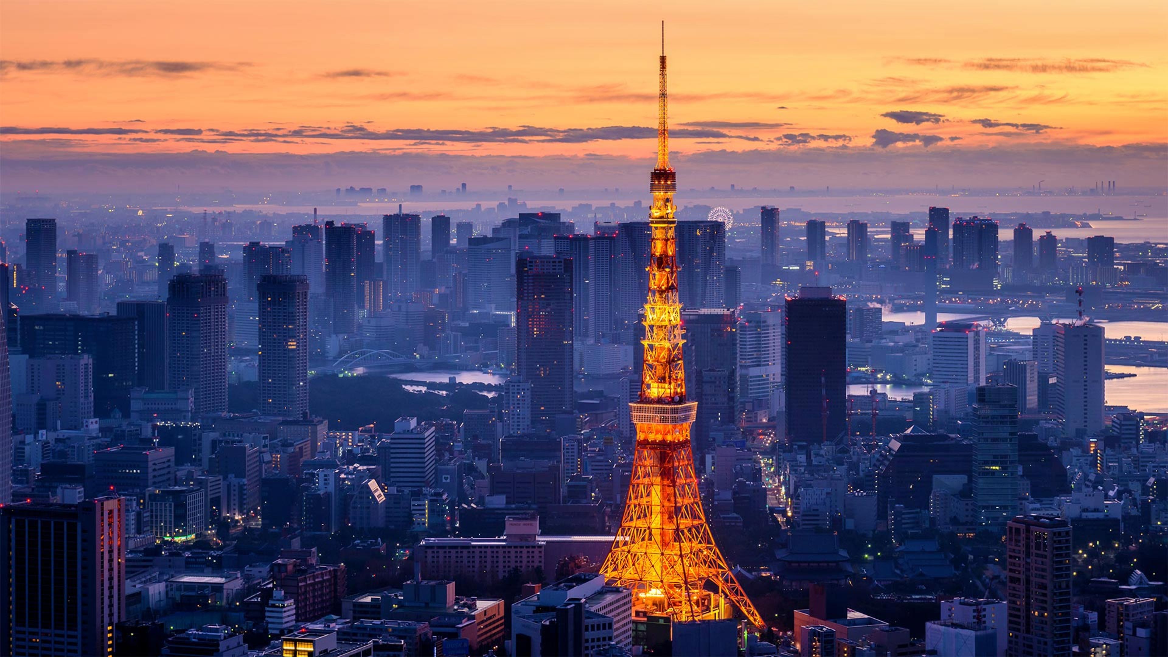 Premium Photo | Vertical japan view with tokyo tower during sunset