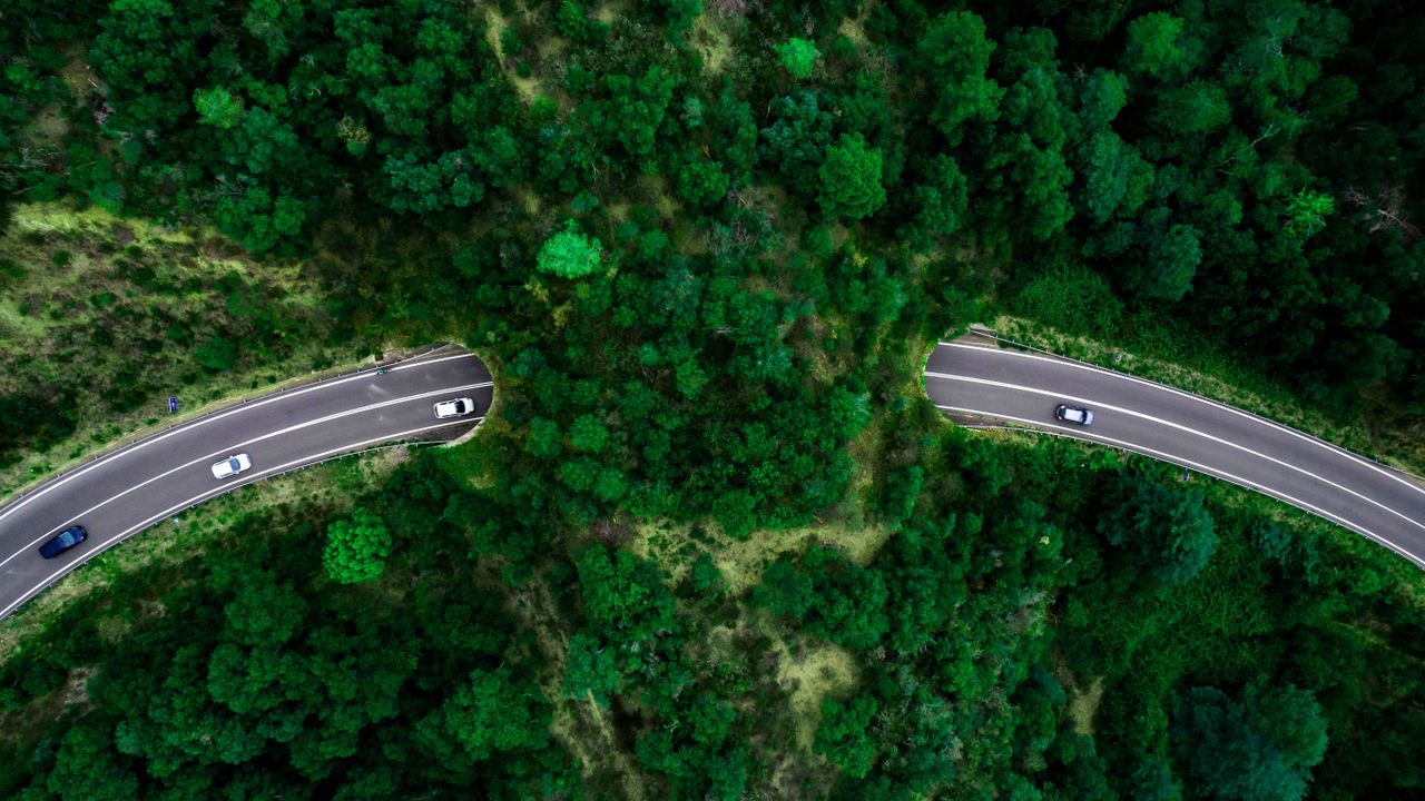 Puentes verdes para la vida silvestre que permiten que los animales crucen, Gerona, España