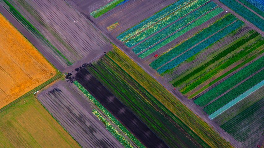 Blick auf Felder, Luftaufnahme, Bayern