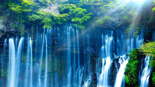 「白糸の滝」静岡, 富士宮市