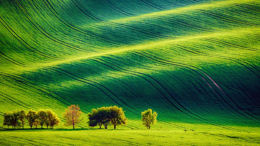 Passage to the plains