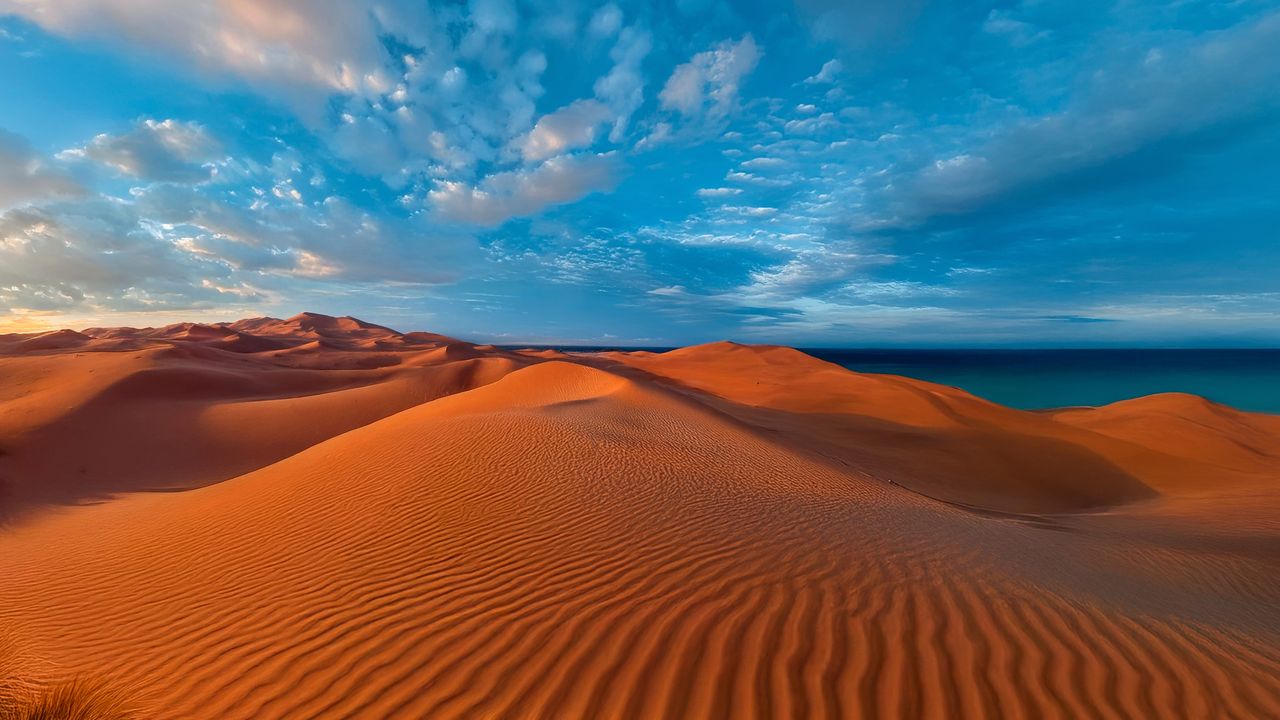 A bone-dry coast