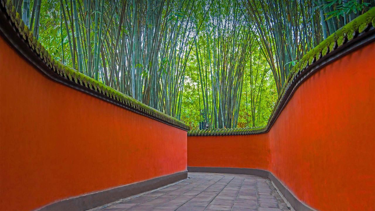 Alley with red walls and bamboo grove in Wuhou Temple, Chengdu, Sichuan province, China