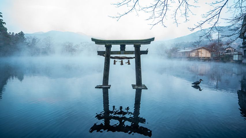 夕日に照らされるチョモランマ｣ネパール, サガルマータ国立公園 - Bing Gallery