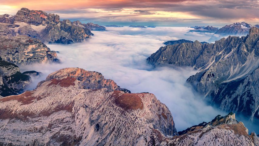 Above the fog