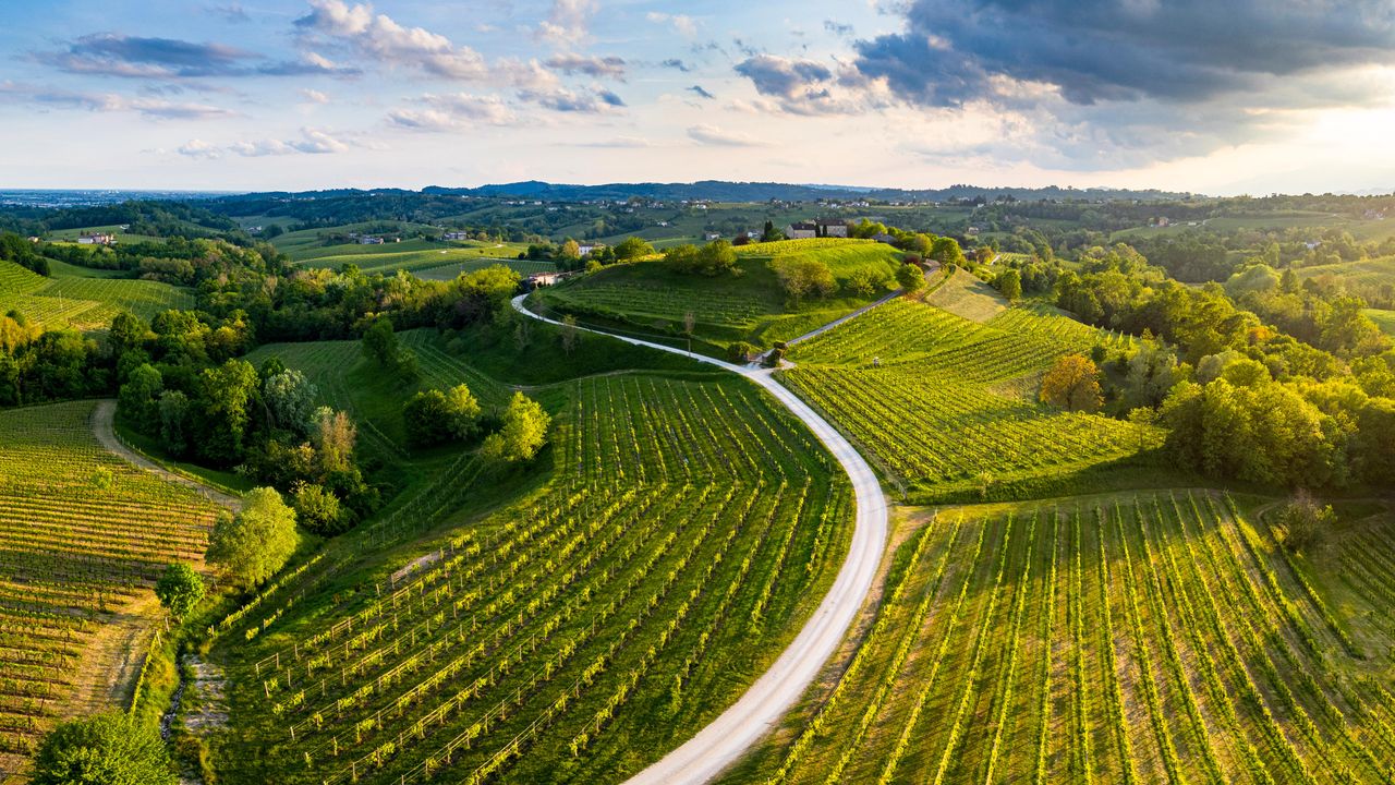 A bubbly bevvy's birthplace