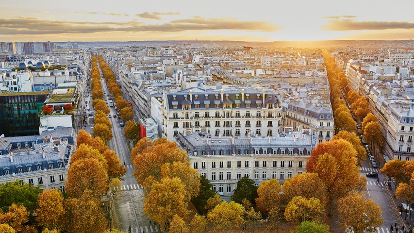Vue aérienne de Paris en automne