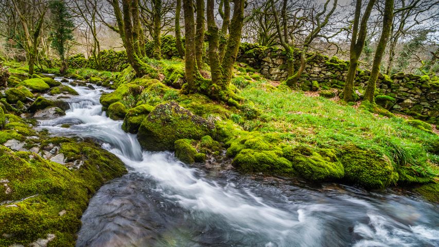 River in the Croesor Valley, Snowdonia National Park, Gwynedd.