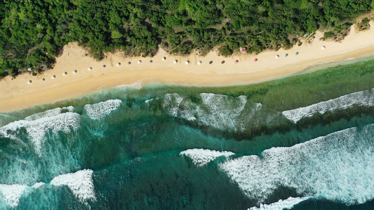 Surf and shade
