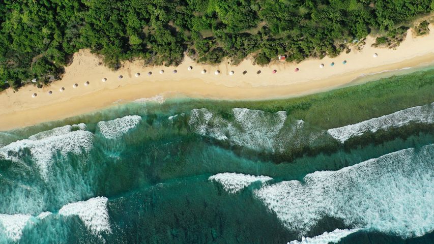Surf and shade
