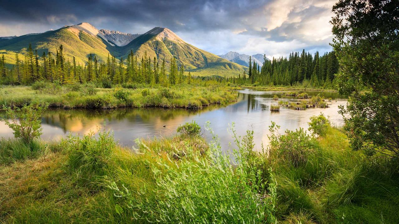The Vermilion Lakes in Banff National Park, Alberta
