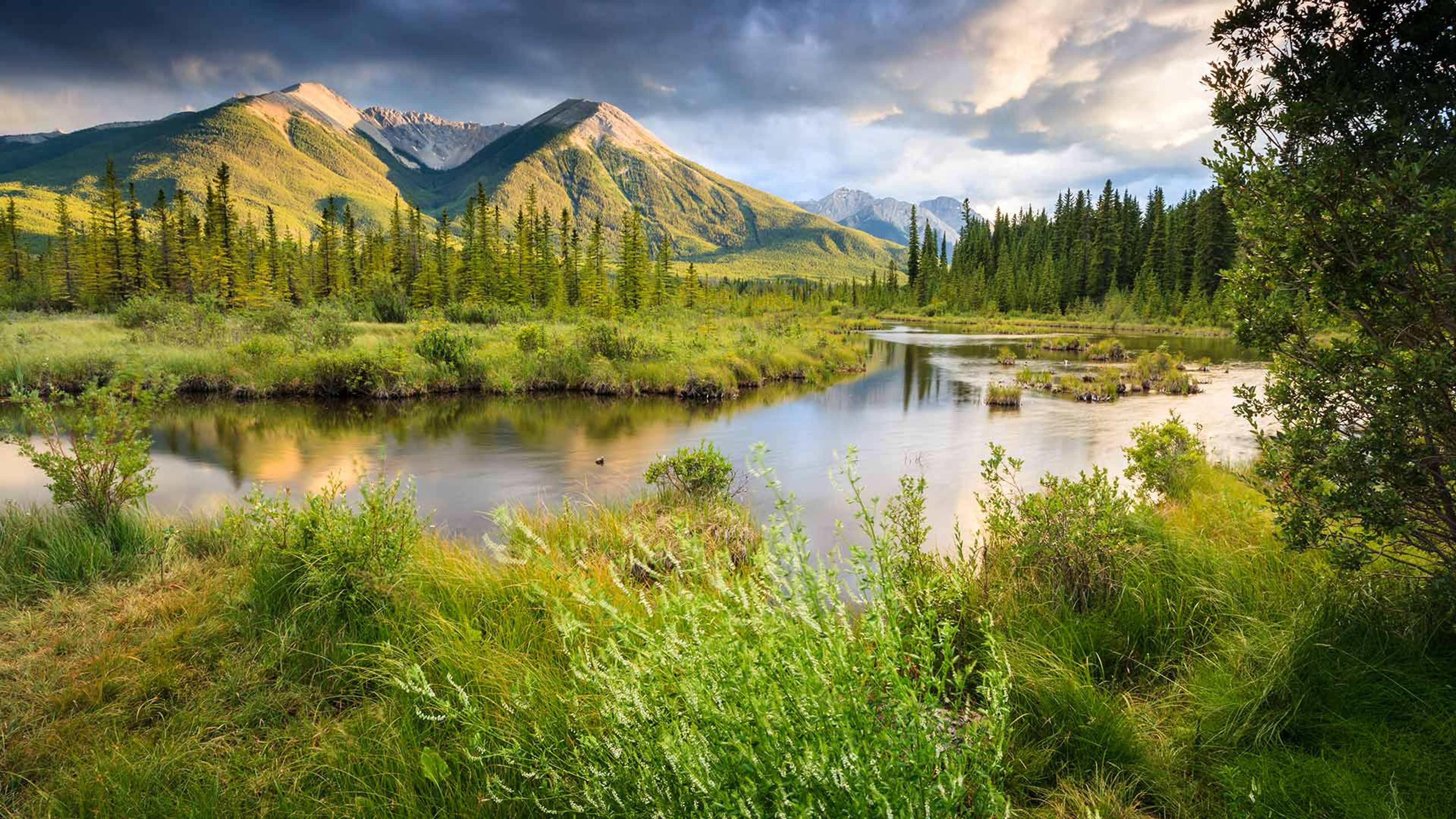 lake vermillion banff mountains