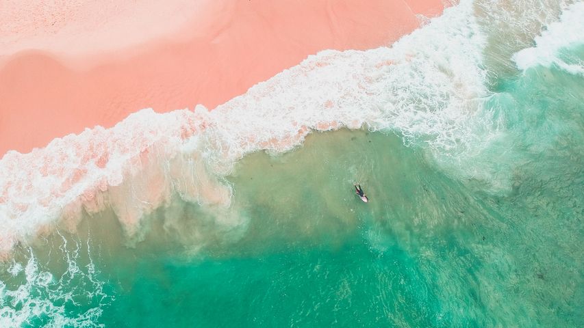 Boarding at Bondi